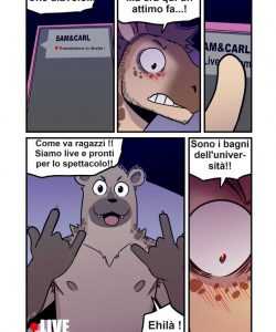 Amateur 017