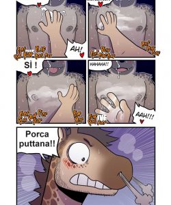 Amateur 024