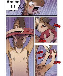 Amateur 035