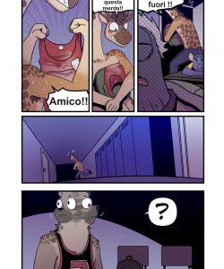 Amateur 036