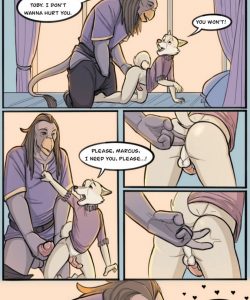 Fencing Lesson 006