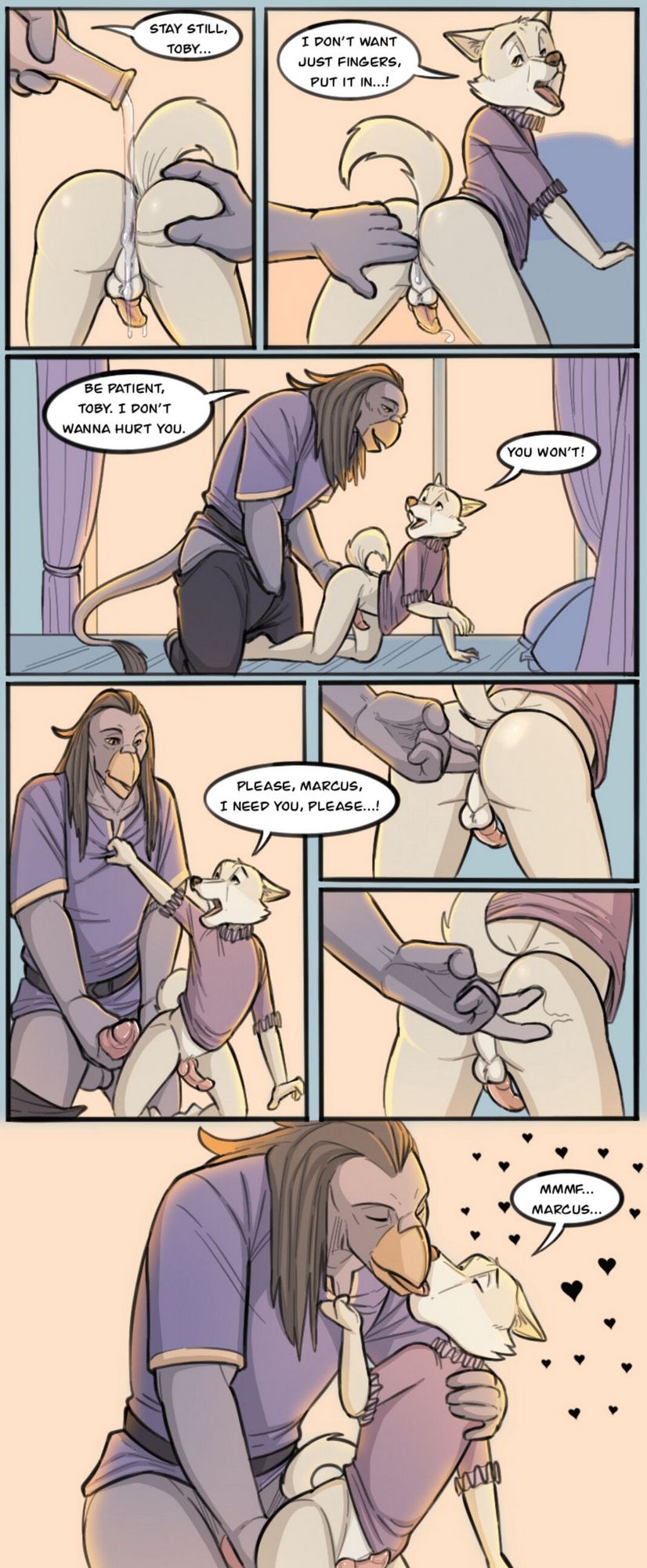 Fencing Lesson 006