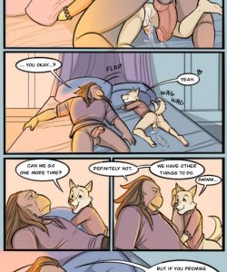 Fencing Lesson 011
