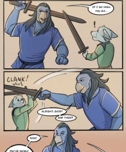 Fencing Lesson 012