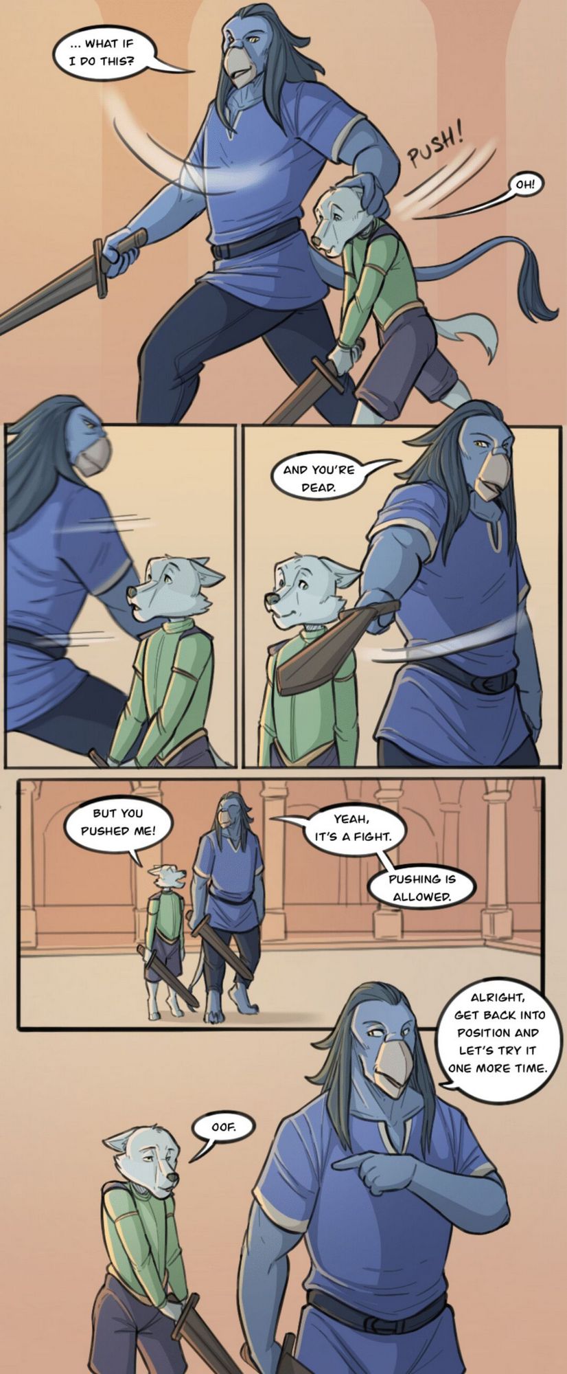 Fencing Lesson 013
