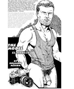 The Model