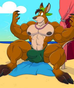Beach Kangaroo Sequence 006