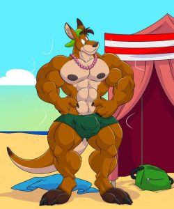 Beach Kangaroo Sequence 008