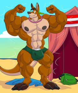 Beach Kangaroo Sequence 009