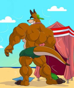 Beach Kangaroo Sequence 010