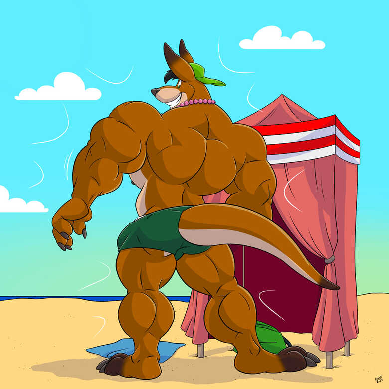 Beach Kangaroo Sequence 010