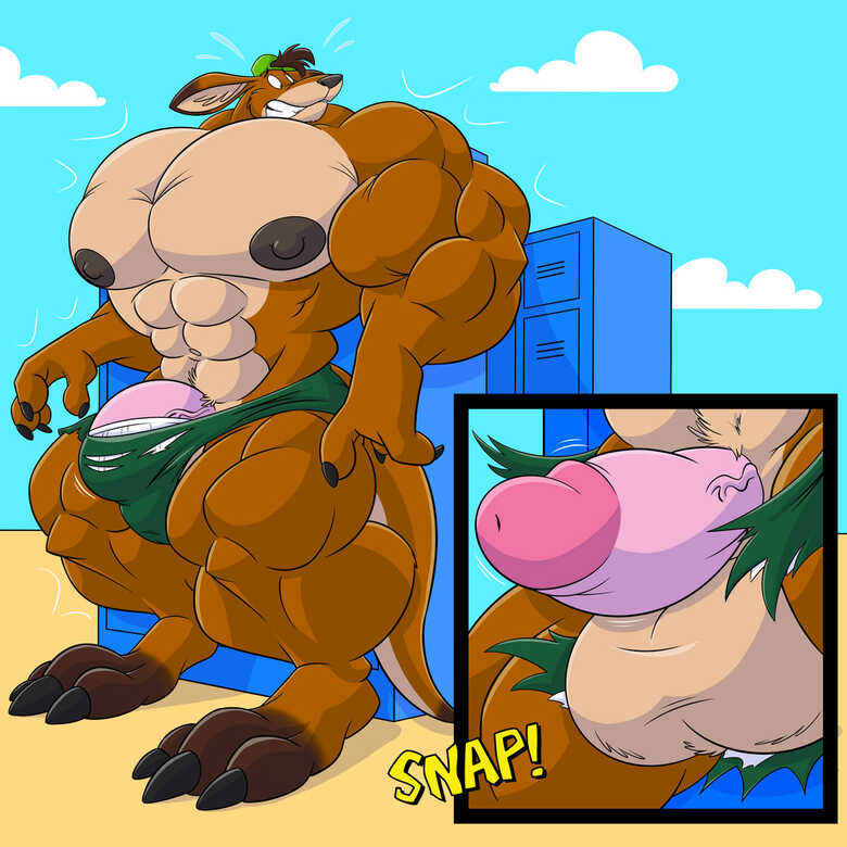 Beach Kangaroo Sequence 013
