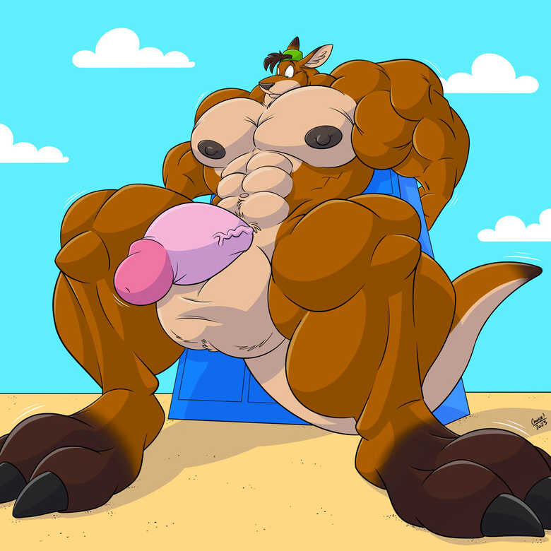 Beach Kangaroo Sequence 014