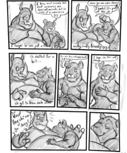 Bogo 010