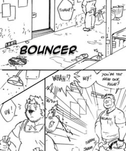 Bouncer