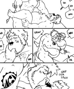 Bouncer XL 009