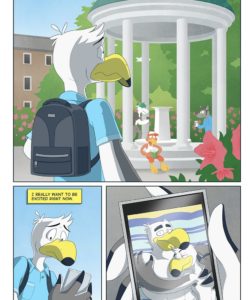 Brogulls 002