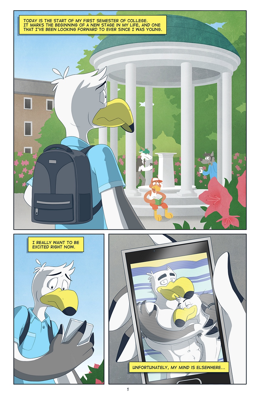 Brogulls 002