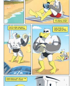 Brogulls 003