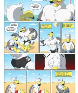 Brogulls 004