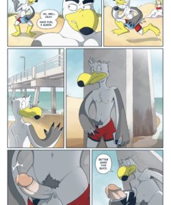 Brogulls 005