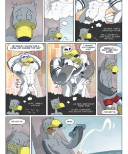 Brogulls 006