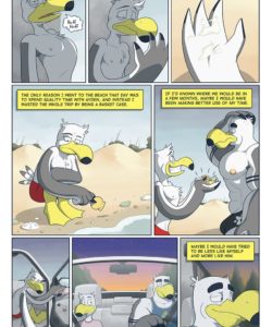 Brogulls 007