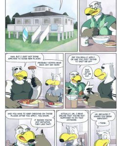 Brogulls 008