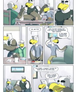 Brogulls 009