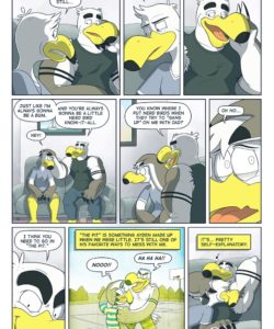 Brogulls 010