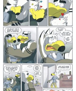 Brogulls 011