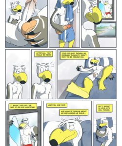 Brogulls 013