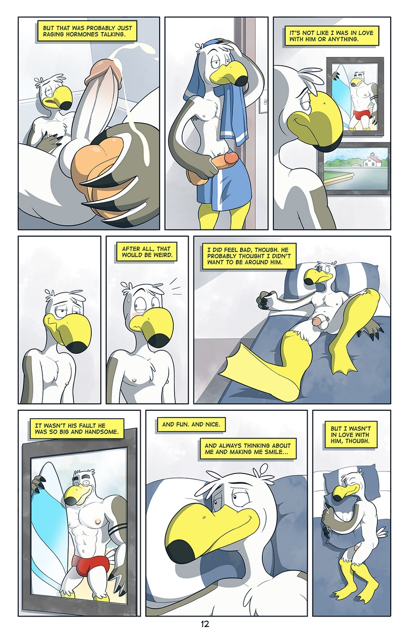 Brogulls 013