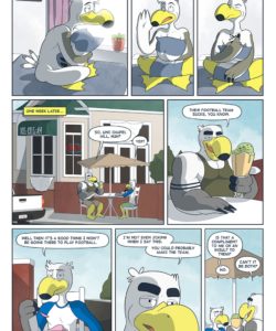 Brogulls 014