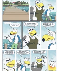 Brogulls 015
