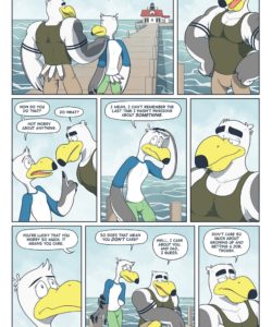 Brogulls 016