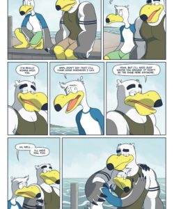 Brogulls 017