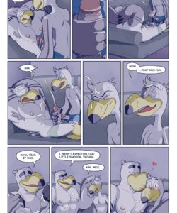 Brogulls 027