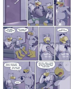 Brogulls 028