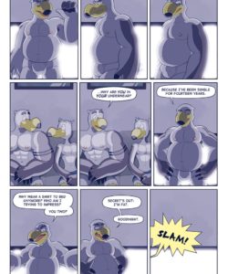 Brogulls 029