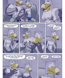 Brogulls 030