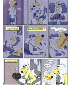 Brogulls 032