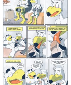 Brogulls 033