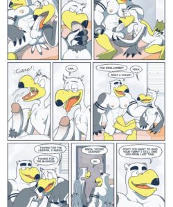 Brogulls 035