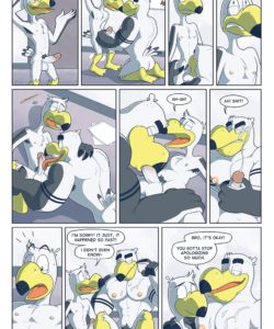 Brogulls 036