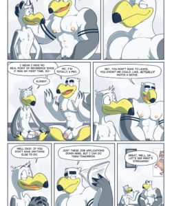 Brogulls 037