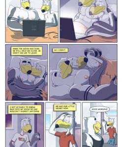 Brogulls 038