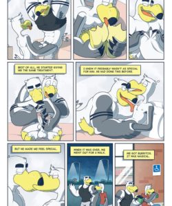 Brogulls 039