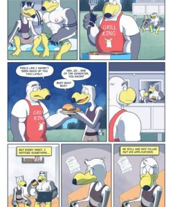 Brogulls 040