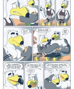 Brogulls 041